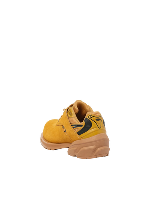 Remagine Starting Bigger Hybrid Derby Wheat