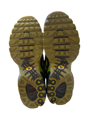 Nike Used Air Max Plus Pacific Moss - DM0032-010