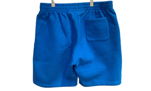 nike Used Supreme Small Box Logo Shorts Blue - test