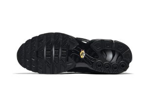 Air Max Plus Triple Black - 604133-050