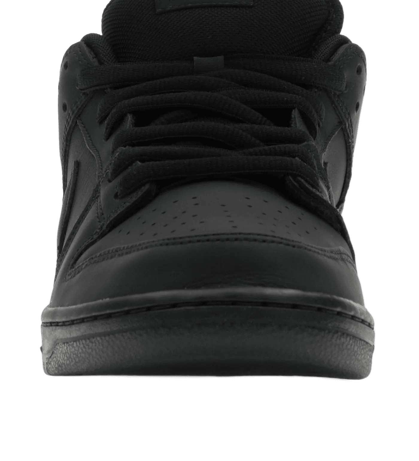 SB Dunk Low Pro Triple Black - FJ1674-001