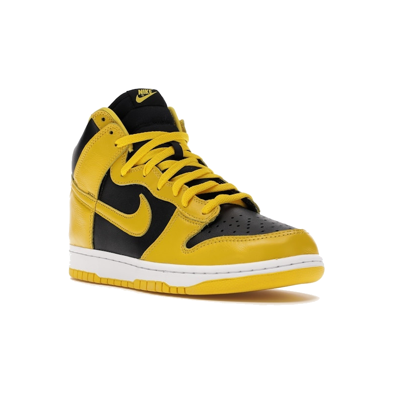 Nike Dunk High Iowa 2020