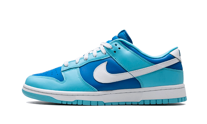 Nike Dunk Low Retro QS Argon (2022)