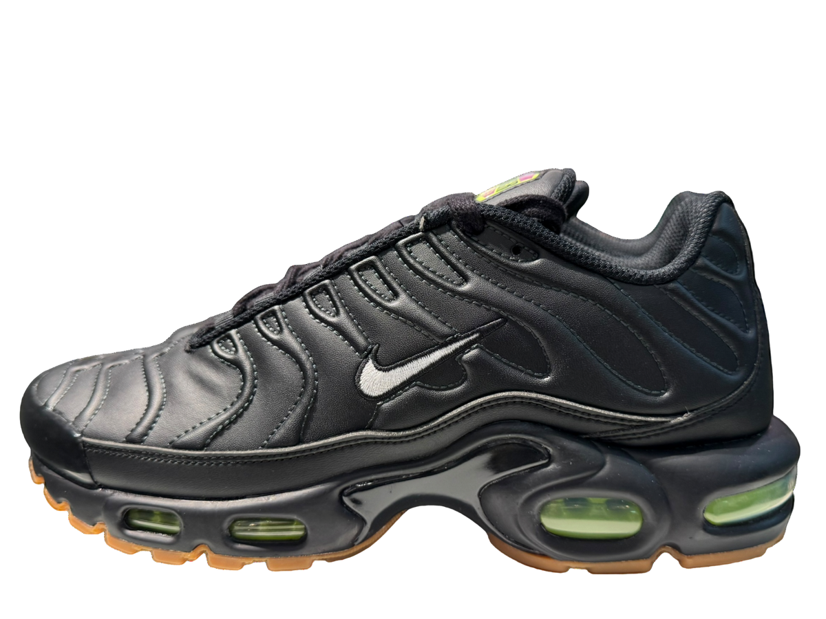 Nike Air Max Plus 'Premier'