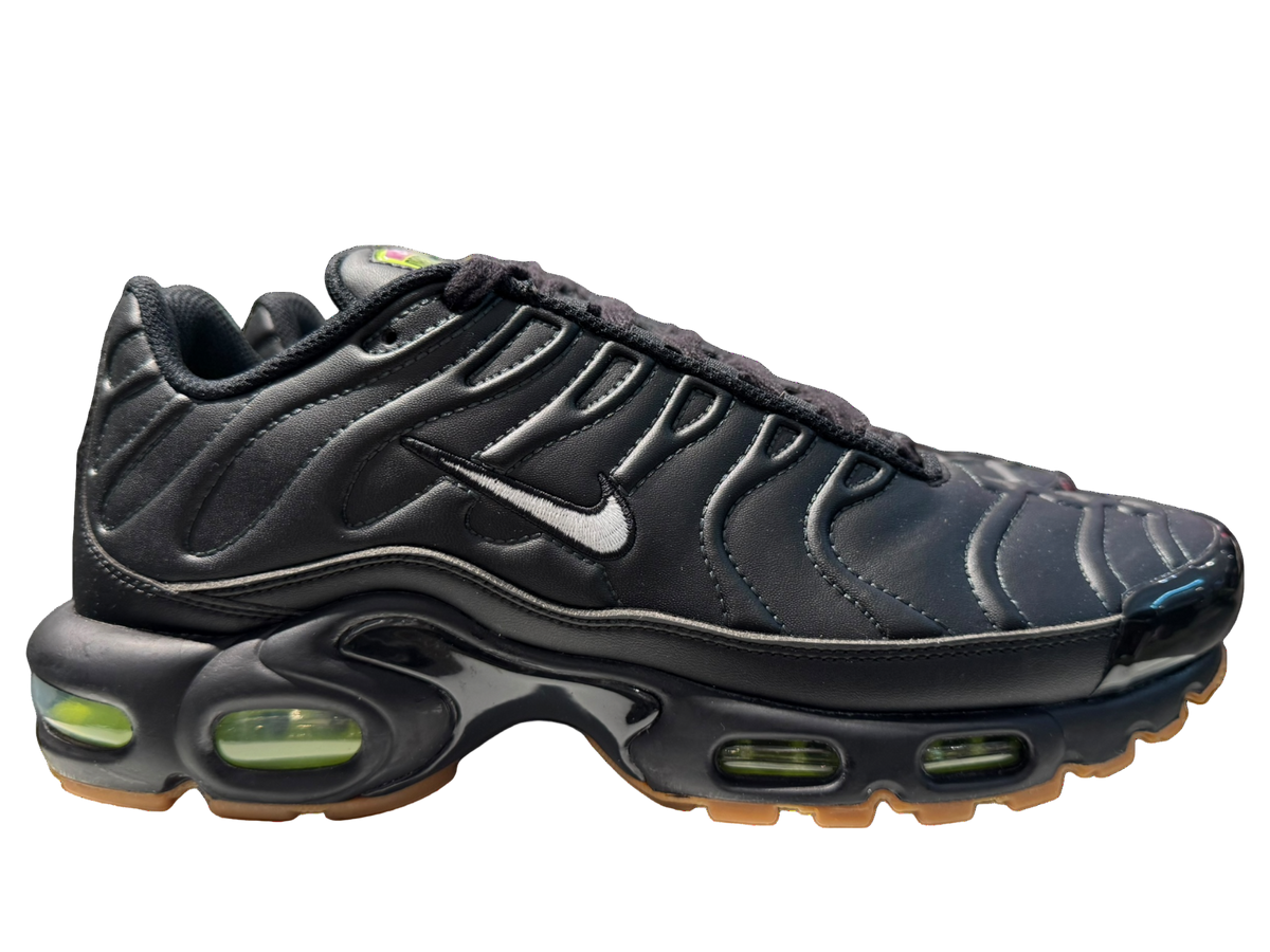 Nike Air Max Plus 'Premier'