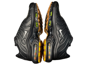 Nike Air Max Plus 'Premier'