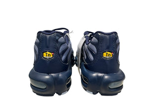 Nike Used Nike Air Max Plus Navy Light blue - DZ3670-400