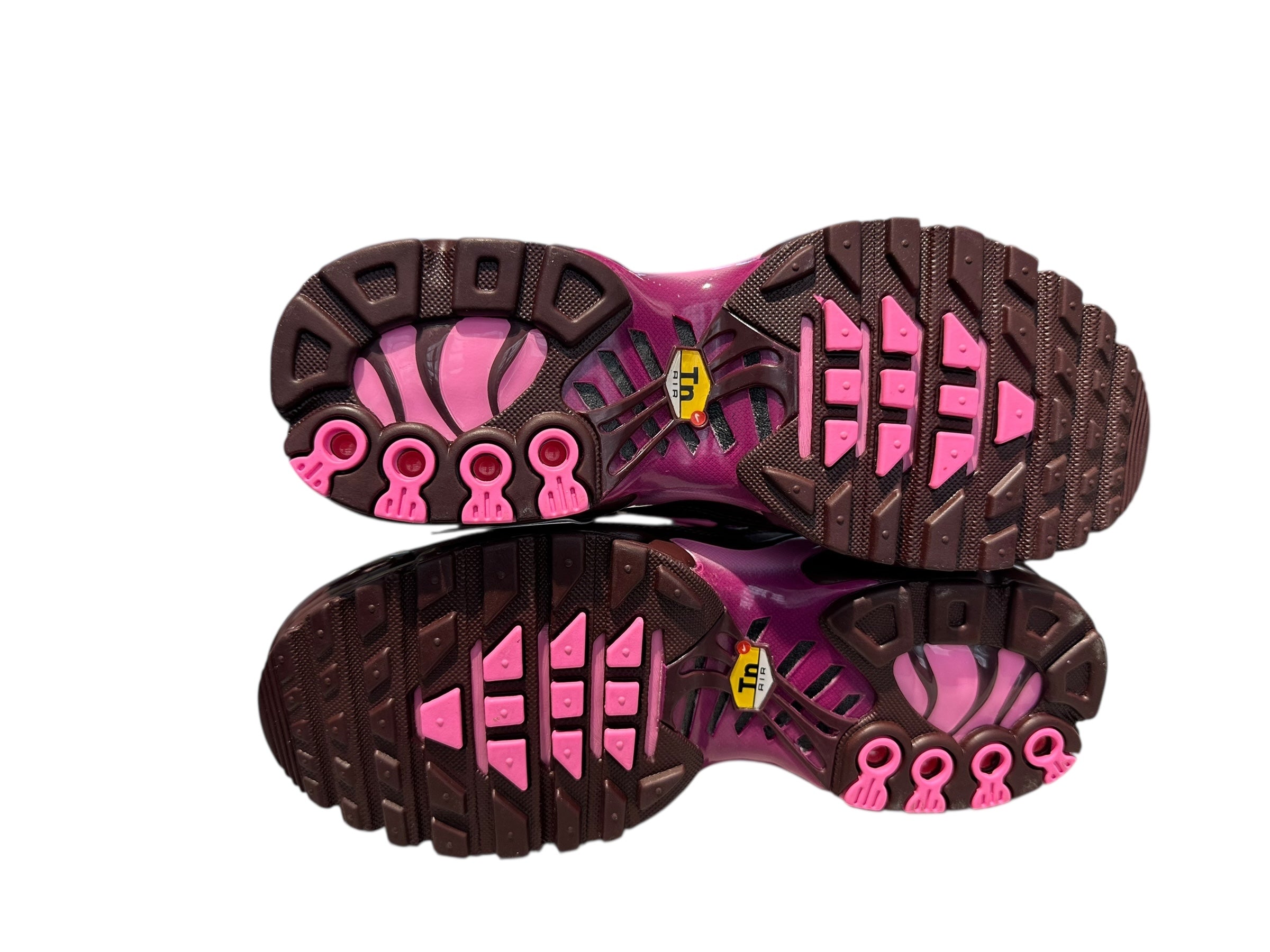 Nike Used Nike TN Air Max Plus Burgundy Crush Cactus Flower - DZ3670-600